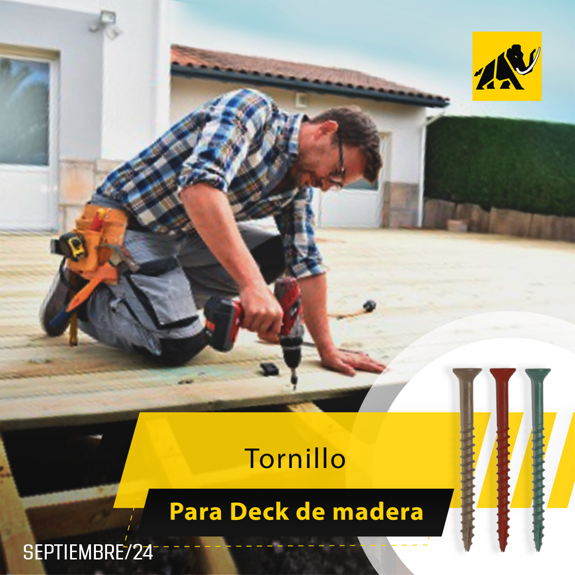 #TapónClavable #Madera #Torx #Fijaciones #FijacionesMamut